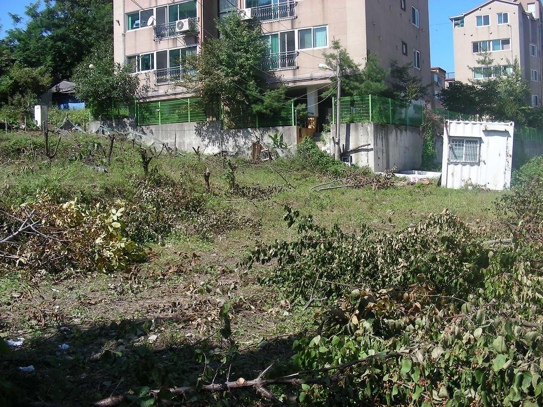 호원동 선재동자원 인근 건축허가 관련 민원사항 현장 확인 2