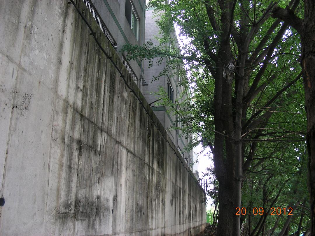 의정부초등학교 인근 민원사항 등 현장 확인2