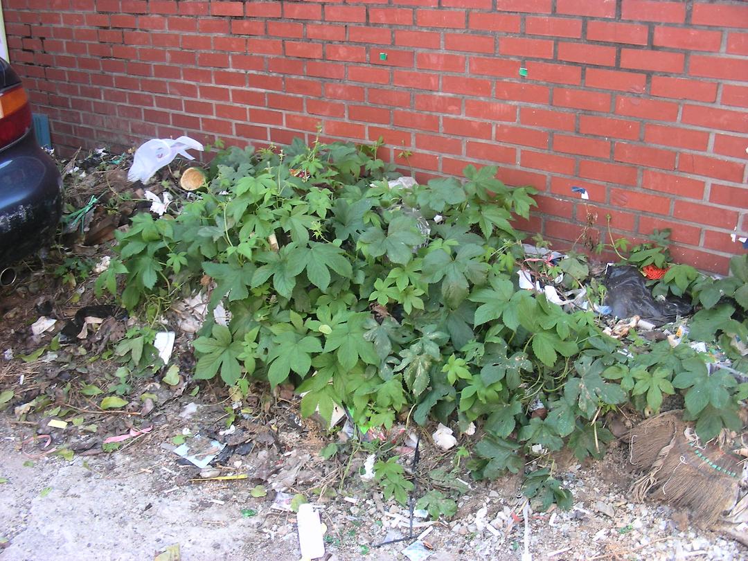 청과야채시장 인근 중랑천 제방 보수 등 민원현장 확인8