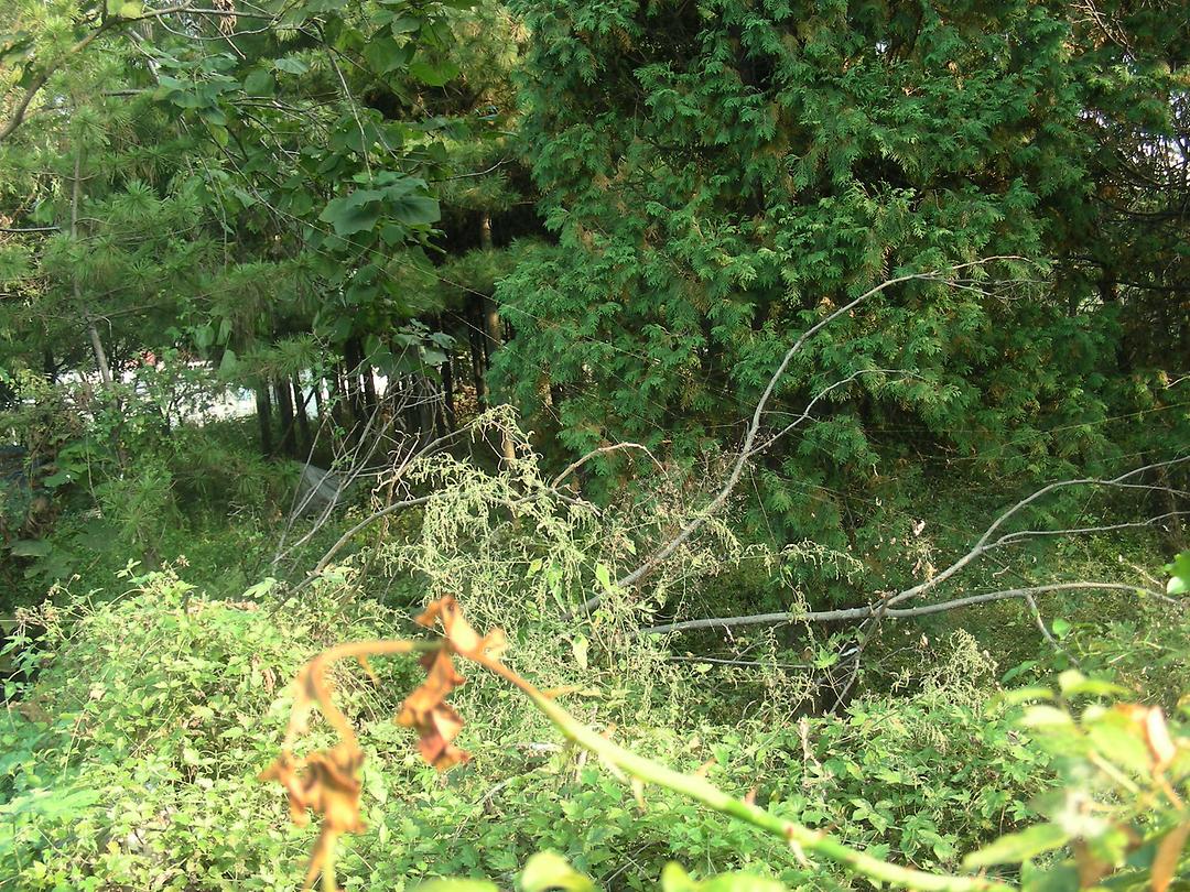 장암동 게이트볼장 이전 설치 요청 관련 민원현장 확인3