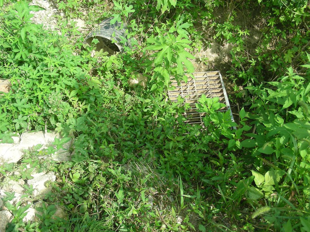 자일동 금곡마을 주택 상습 침수 및 환경자원센터 인근 민원과 현장 확인7