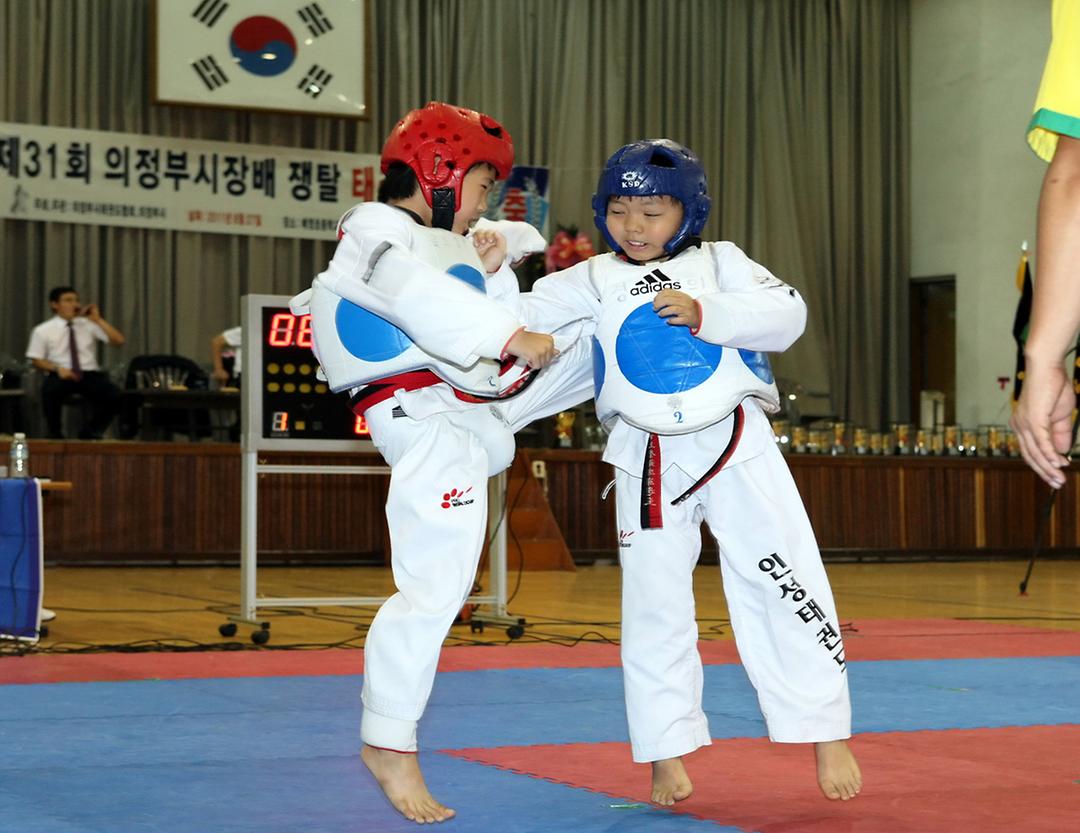 제31회 의정부시장배 쟁탈 태권도 대회3