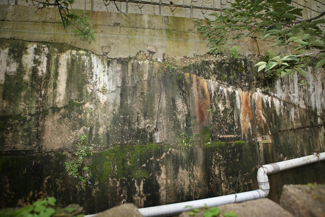 호원동 신흥대학 옹벽 관련 민원현장 확인2