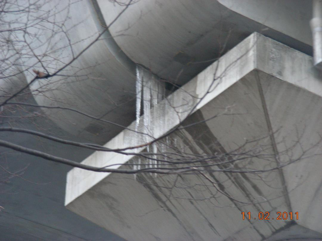 민원현장 확인 (세무서앞, 고산동일대)4