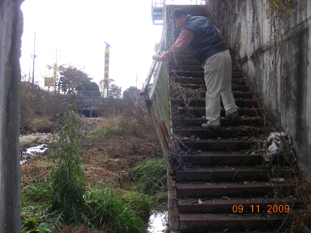 2009년도 행정사무감사 준비를 위한 현장확인 활동3