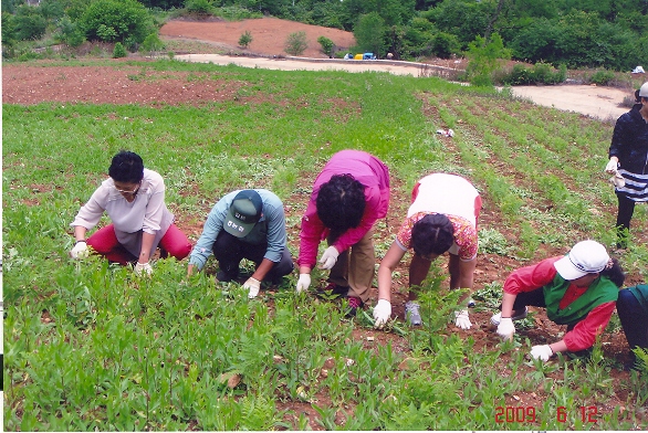 농촌 일손돕기1