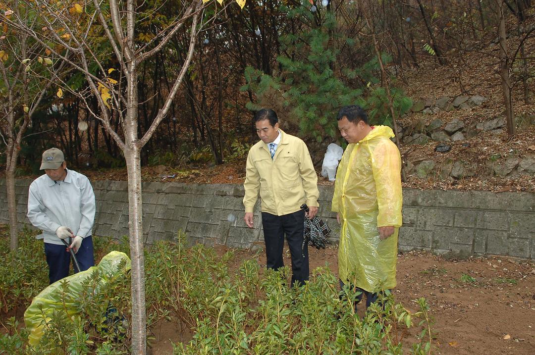 신곡2동 녹지공간 철쭉식수 현장 확인1