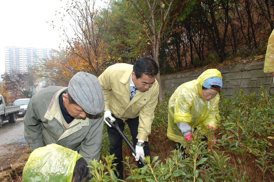 신곡2동 녹지공간 철쭉식수 현장 확인2