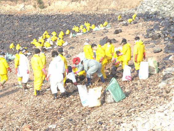 태안군 기름유출 방제작업 자원봉사1