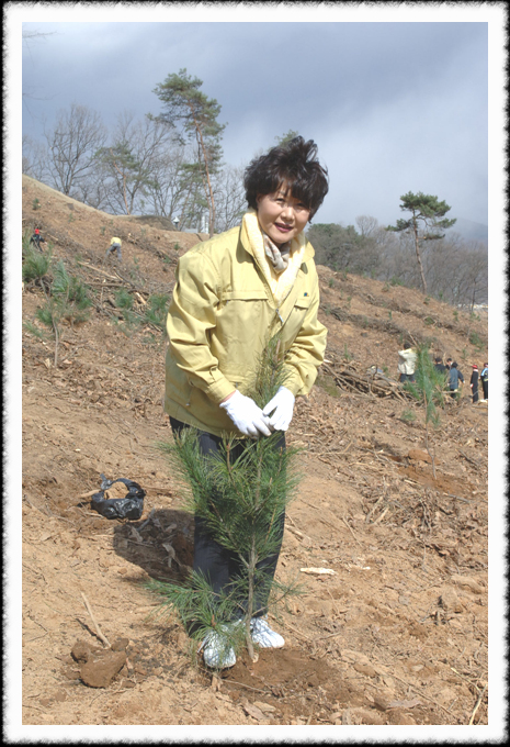 제62회 식목일 기념행사1