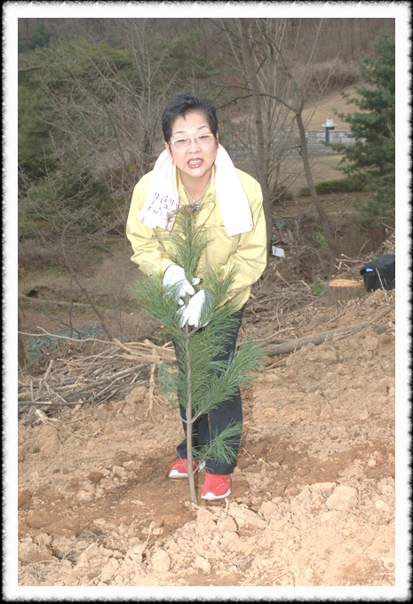 제62회 식목일 기념행사1