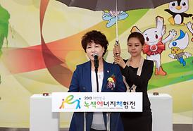 2013대한민국 녹색에너지체험전