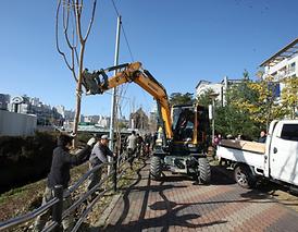 녹양천변 나무심기 행사