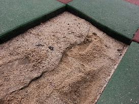 활발한 의정활동 전개