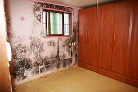 사랑의집 고쳐주기 자원봉사