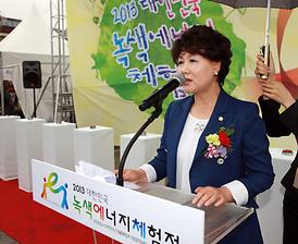 2013대한민국 녹색에너지체험전