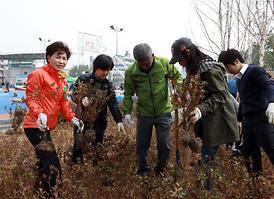 2013년 식목일 행사 
