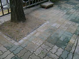 시민회관 사거리 싱크홀민원 현장방문