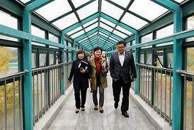 행정사무감사 활동