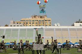 2015경기도시 · 군의회의원 한마음체육대회