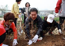 2013년 식목일 행사