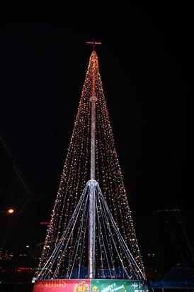 성탄 트리 점등식