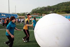 경기북부시군의원 체육대회