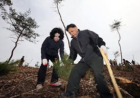 고맙습니다 ! 함께 이룬 우리 숲