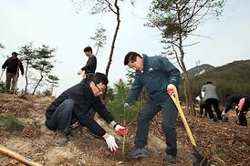 고맙습니다 ! 함께 이룬 우리 숲