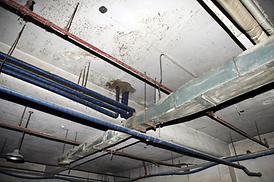 활발한 의정활동