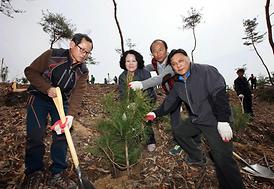 고맙습니다 ! 함께 이룬 우리 숲