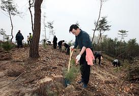 고맙습니다 ! 함께 이룬 우리 숲