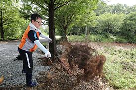 괴산군 수해복구 자원봉사 구슬땀 흘려