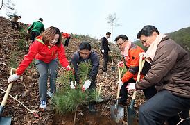 고맙습니다 ! 함께 이룬 우리 숲