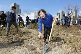 제74회 식목일 나무심기 행사