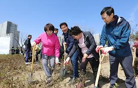 제74회 식목일 나무심기 행사