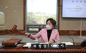 제303회 임시회(자치행정위원회)