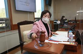 제303회 임시회(자치행정위원회)