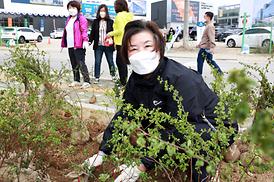 제76회 식목일 나무심기 행사