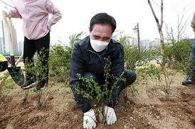제76회 식목일 나무심기 행사