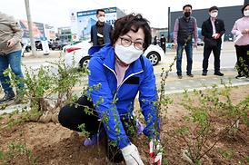 제76회 식목일 나무심기 행사