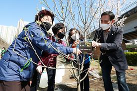 식목일 행사(가능동)