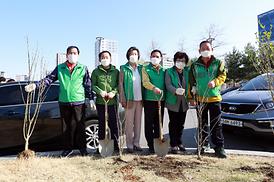 새마을회 무궁화 나무심기