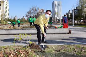 새마을회 무궁화 나무심기