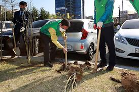 새마을회 무궁화 나무심기