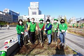 새마을회 무궁화 나무심기