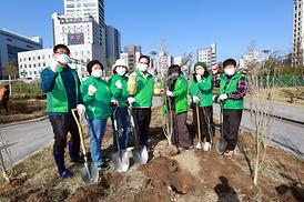 새마을회 무궁화 나무심기