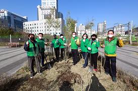 새마을회 무궁화 나무심기