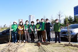 새마을회 무궁화 나무심기