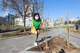 새마을회 무궁화 나무심기